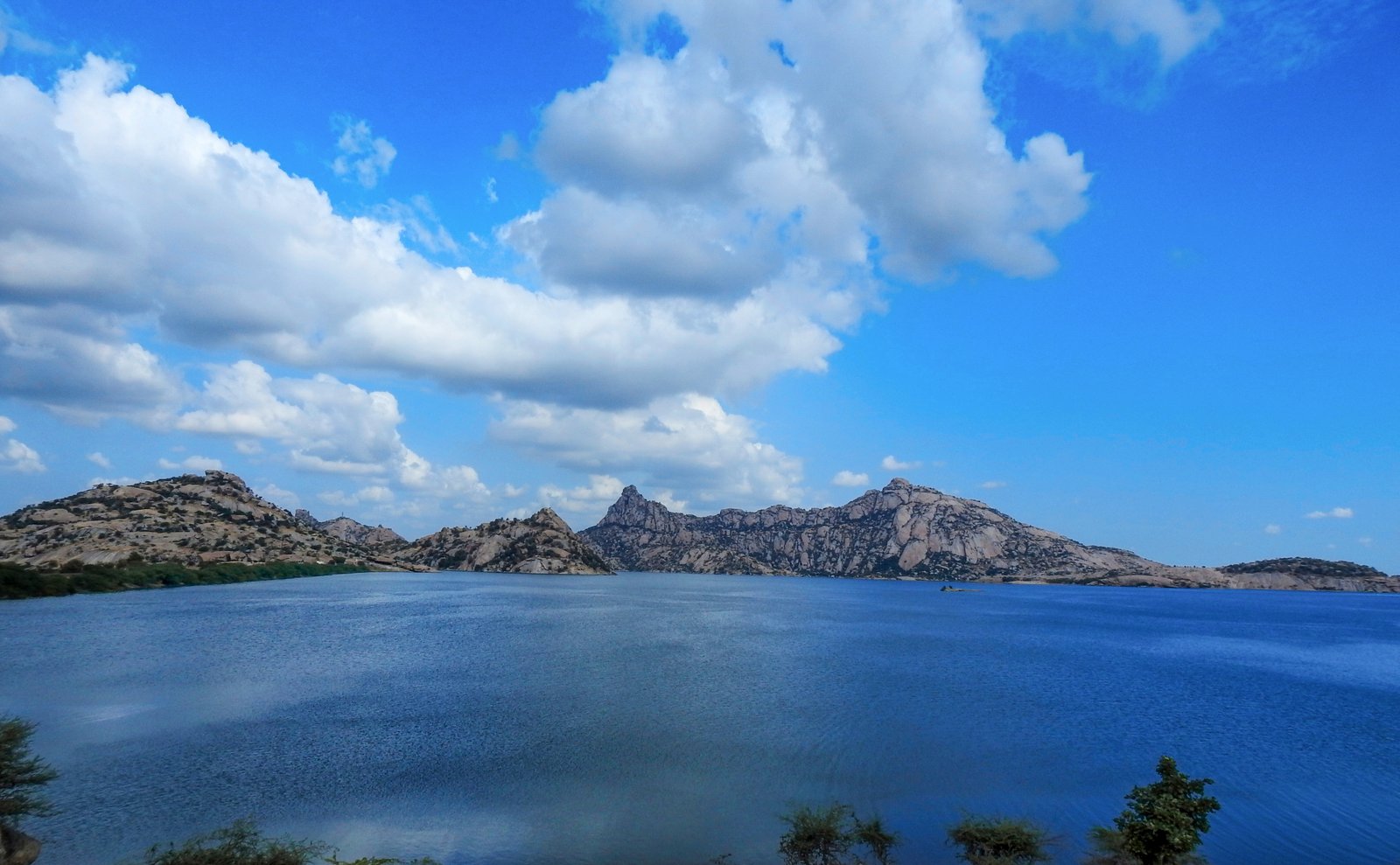 Jawai Dam wetlands teeming with migratory waterfowl